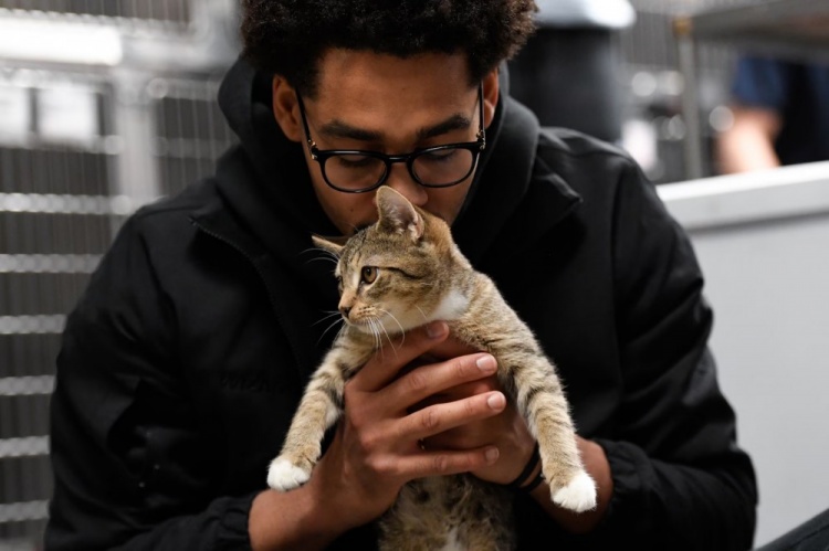 普爾：NBA裏養貓的人很多 小黄片免费软件有一個秘密的圈子常私下交流